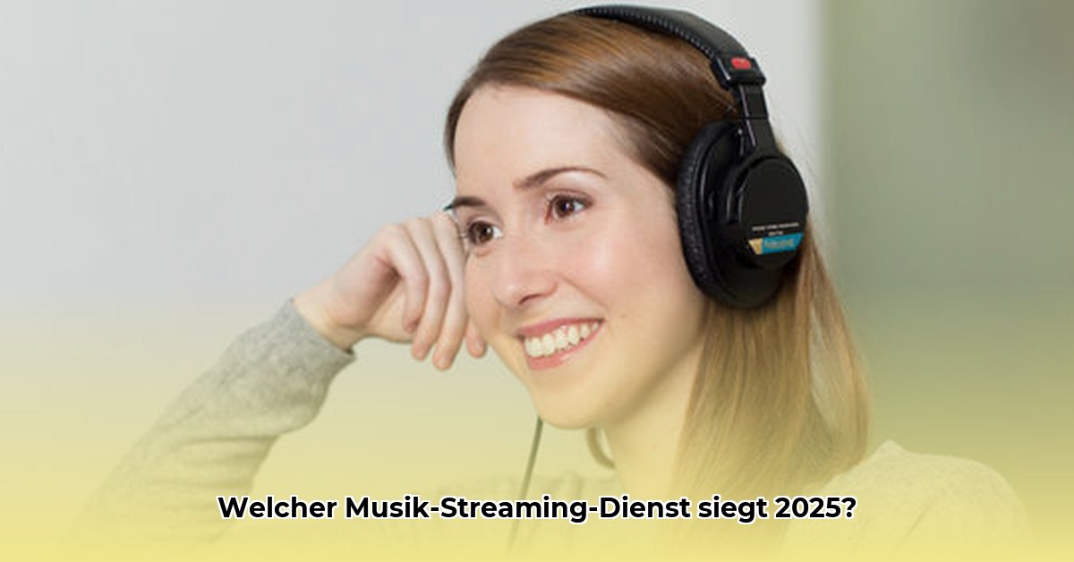 welcher-musik-streaming-dienst-ist-der-beste